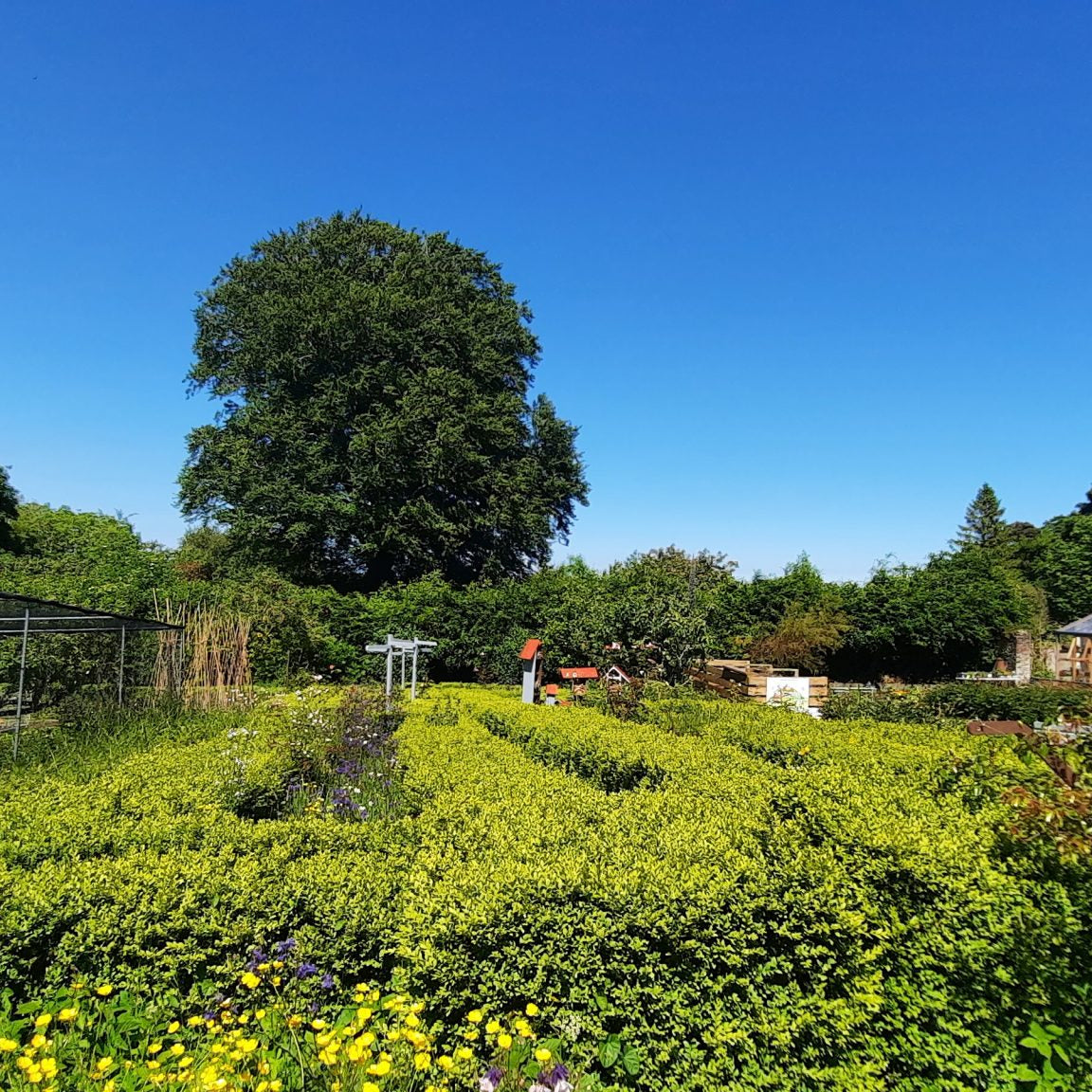 Community growing with Blue Sky