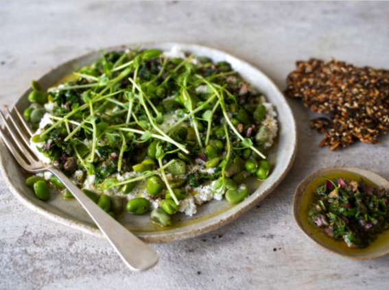 Broad Beans With Ricotta And Salsa Verde &ndash; GROW HQ