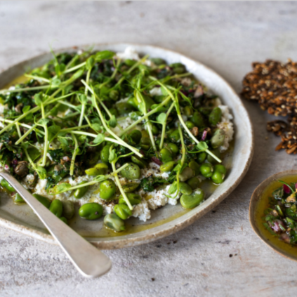 Broad Beans With Ricotta And Salsa Verde