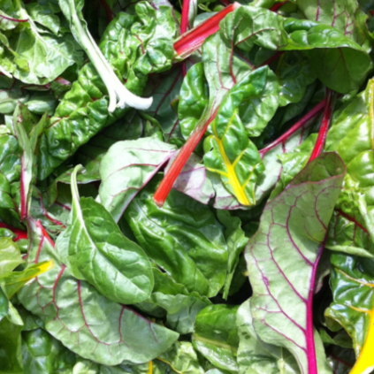 Chard leaves in a pile