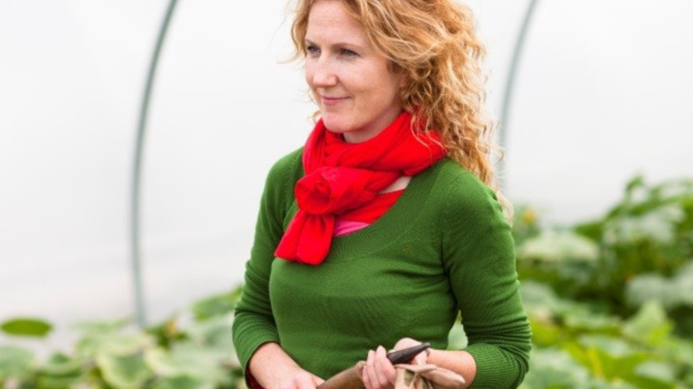 Global Shocks Local impact