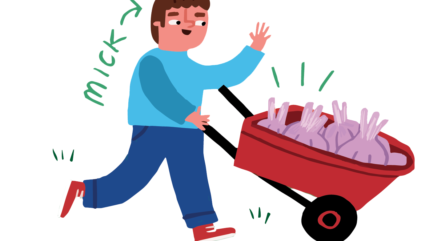 The Hows And Whys Of Autumn Onions And Garlic