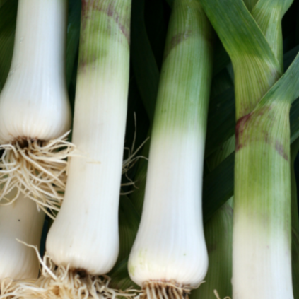 Leeks