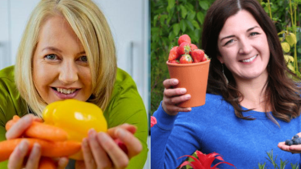 NUTRITIONAL INEQUALITY: UNPACKING THE SCHOOL LUNCH DIVIDE