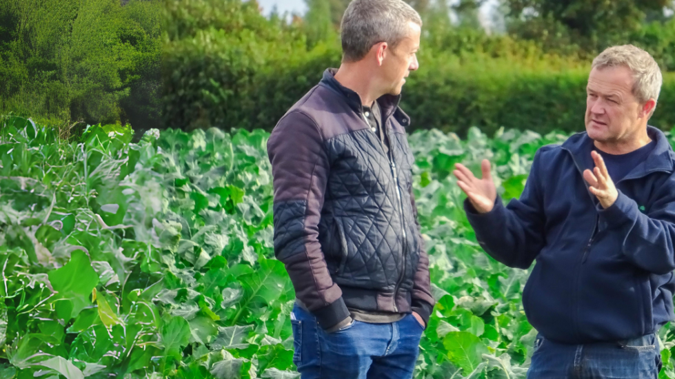 Paul Brophy, Ireland’s ‘Broccoli Barron’