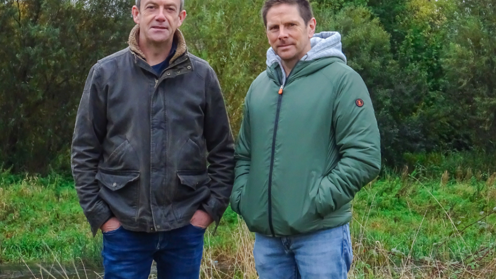 Mass Movements versus Mass Extinctions