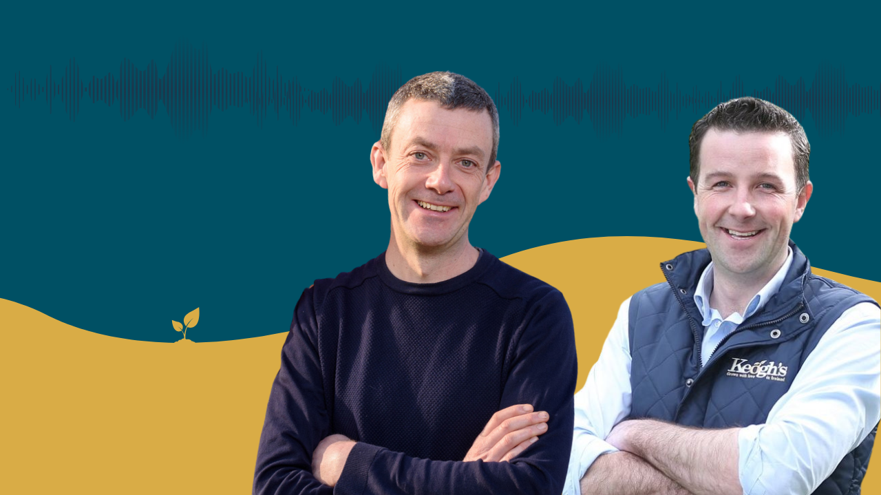 Tom Keogh talks spuds, snacks and food security