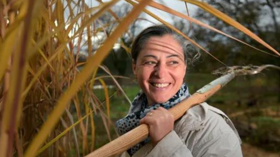 The Power of Permaculture, with Perrine Hervé-Gruyer