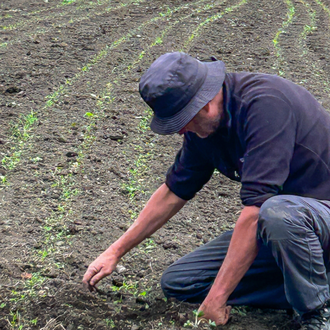 March Diary by GROW HQ's Head Grower, Richard