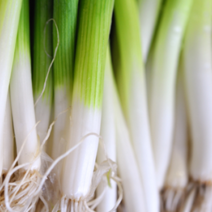 Spring Onions (Scallions)