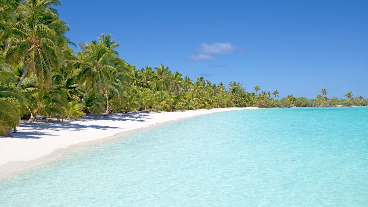 Richard's Ramblings July 20th - What do non gardeners find entertaining?