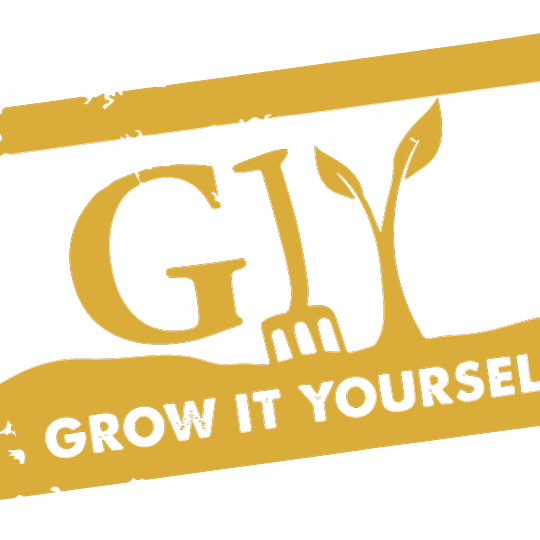 GIY introduces four new faces to its Board