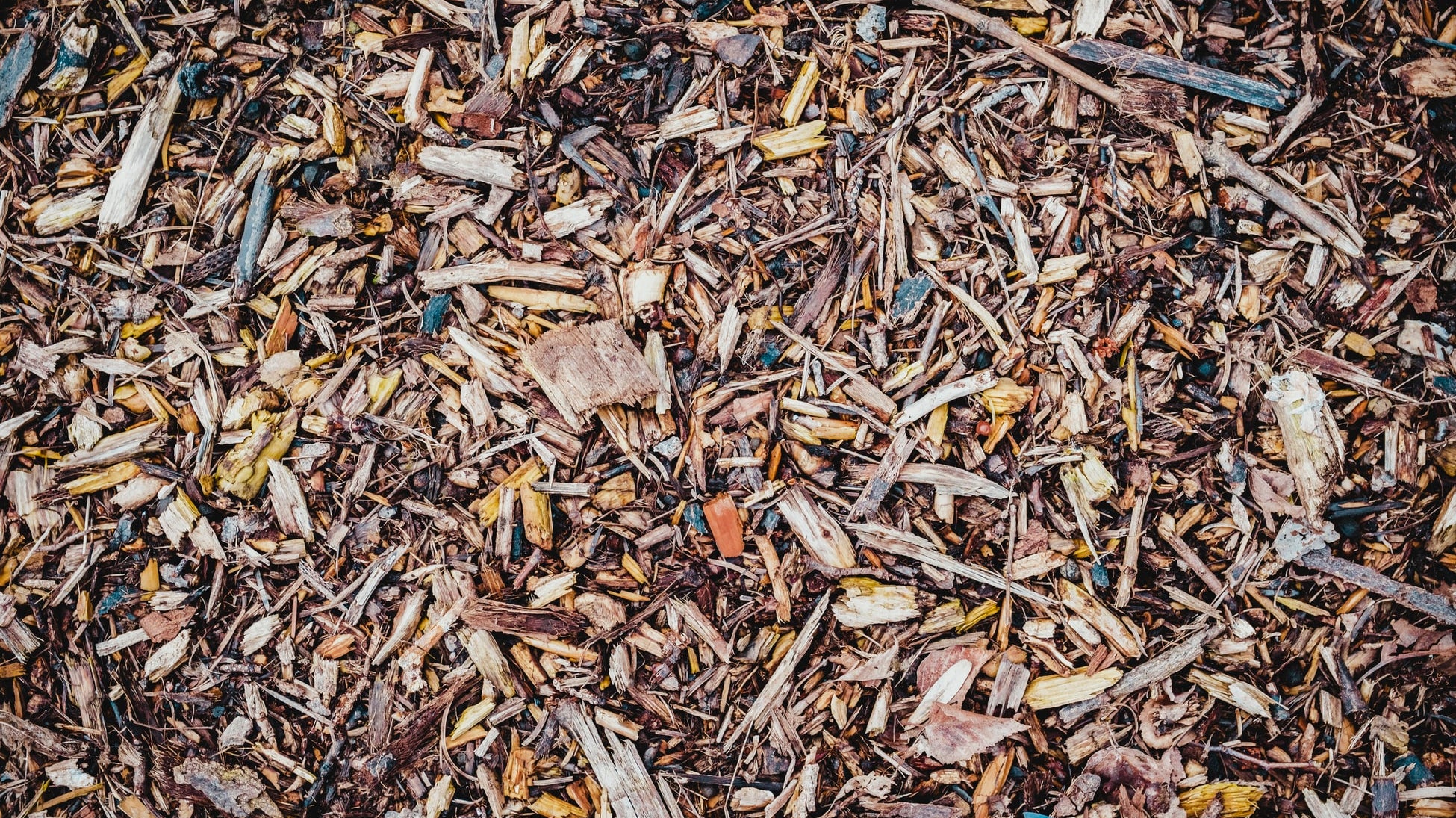 November Growers Calendar