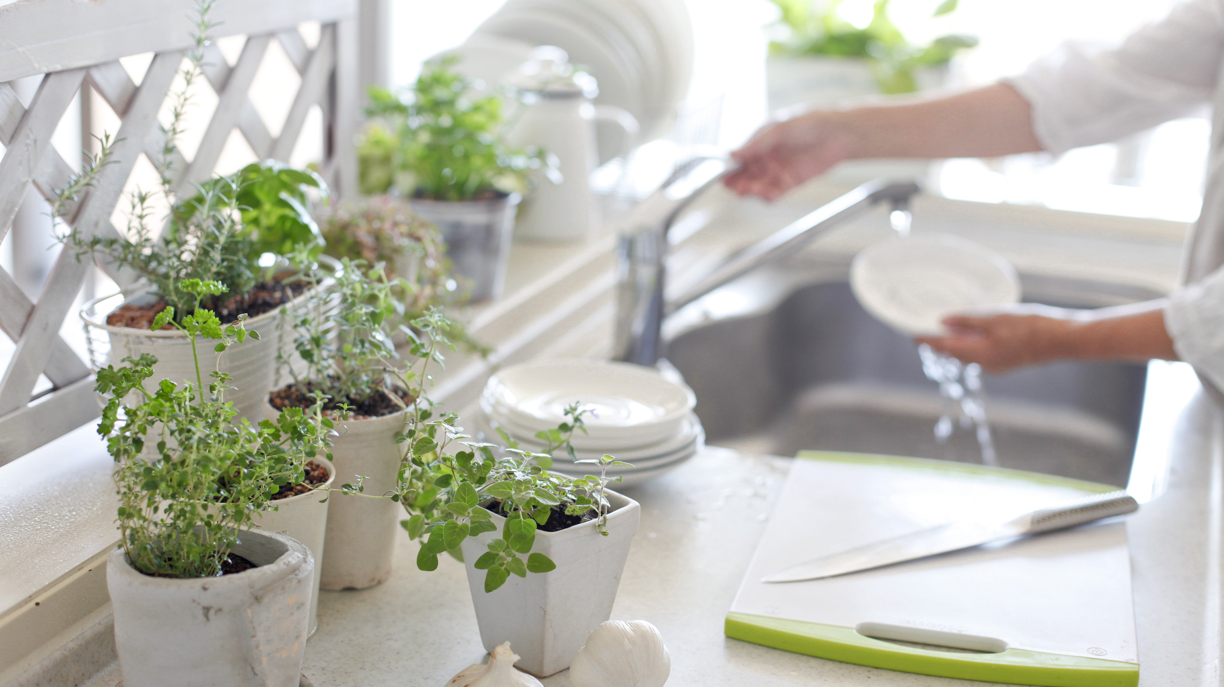 Growing in small spaces, containers, windowsills, balconies, indoors. Kitchen herb garden