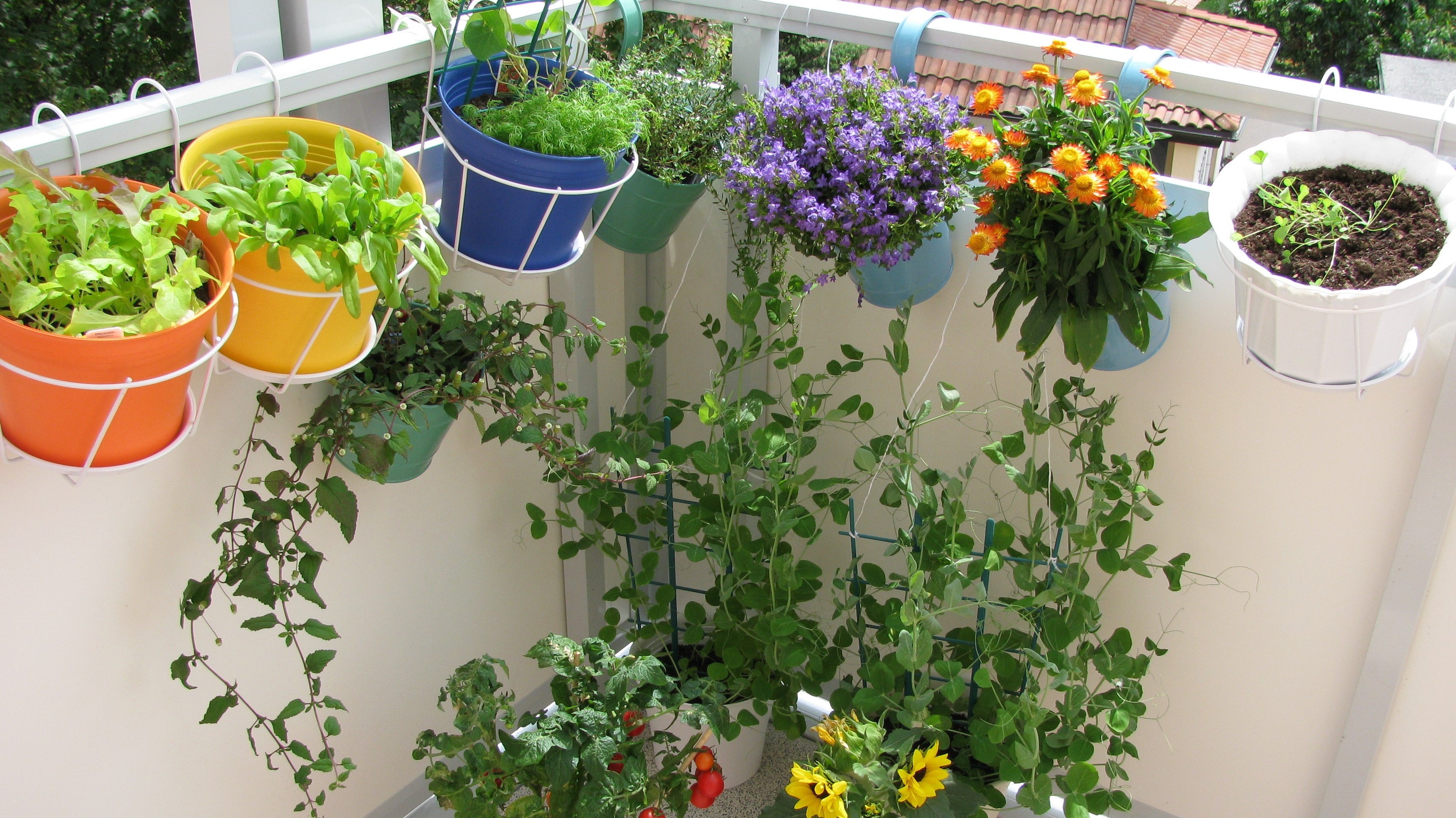 Grow Your Home Gorgeous