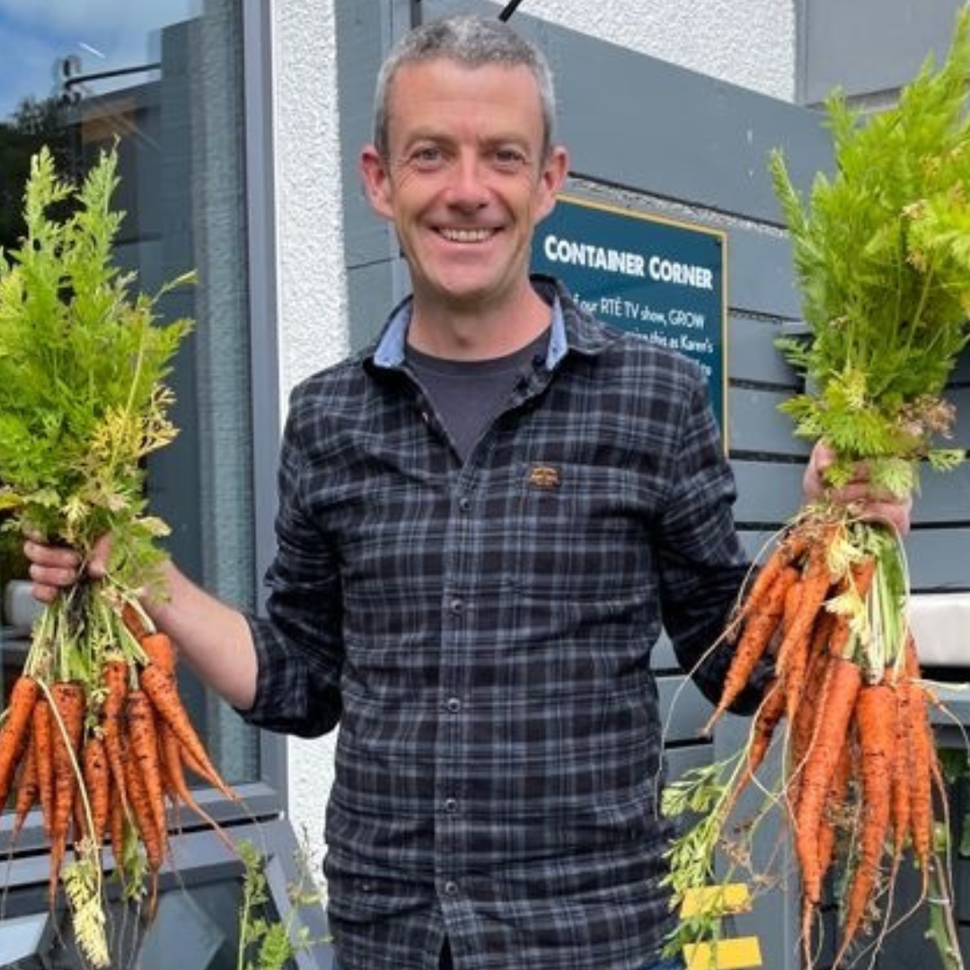 Learn to grow veg in ireland