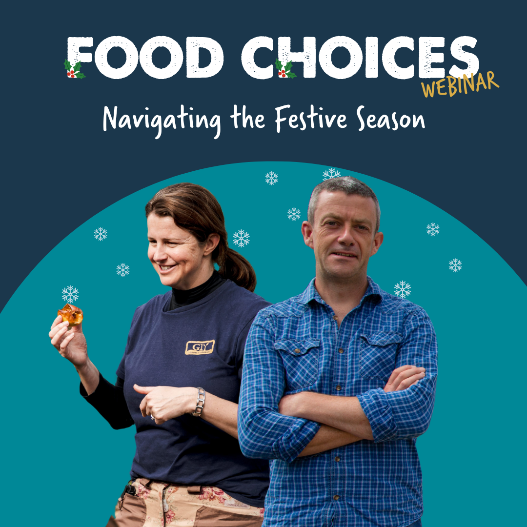 Promotional graphic for a 'Food Choices Webinar: Navigating the Festive Season' featuring two hosts, a woman holding a food item and a man with arms crossed, set against a dark teal and navy background with white text and snowflake motifs.
