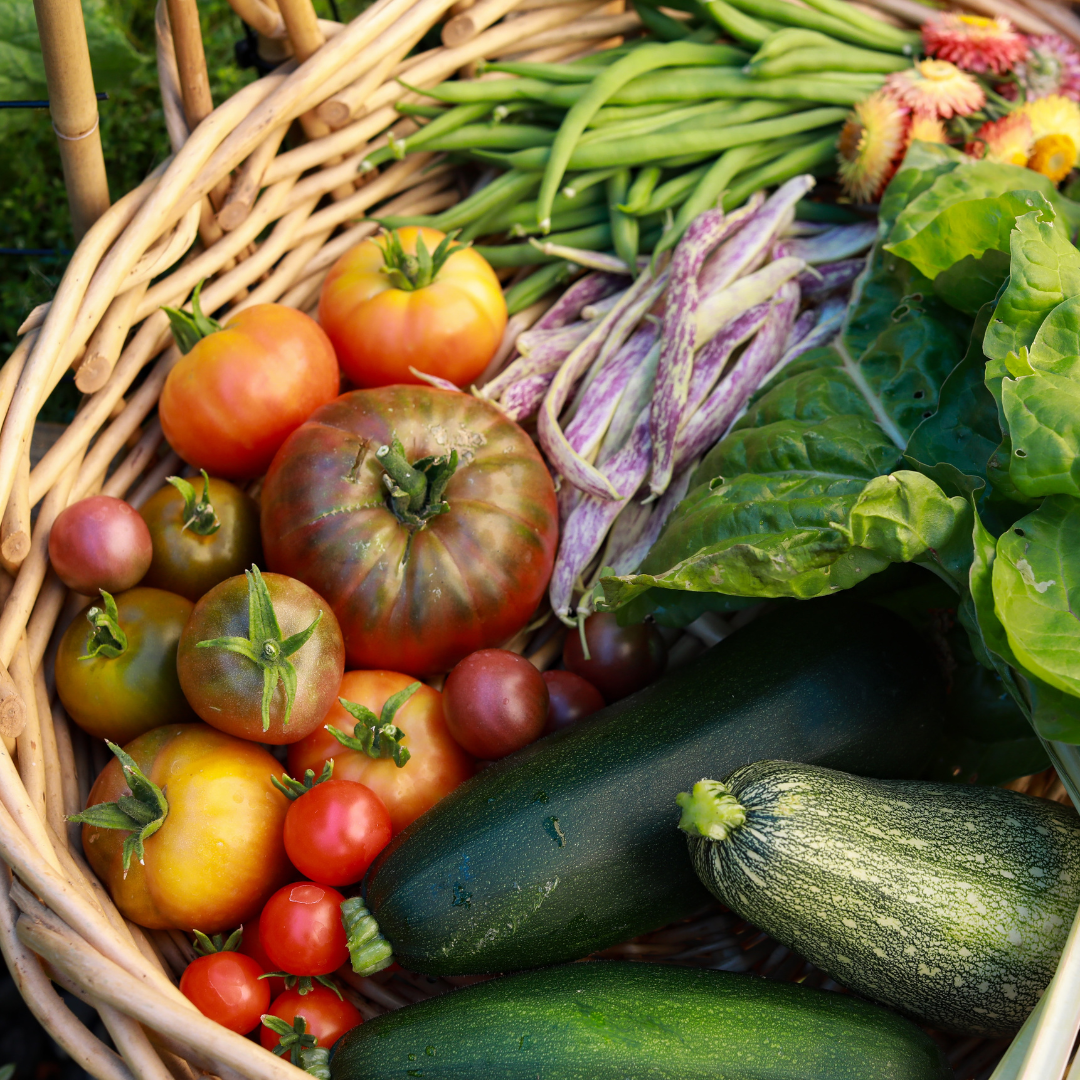 Learn to grow your own vegetables online course
