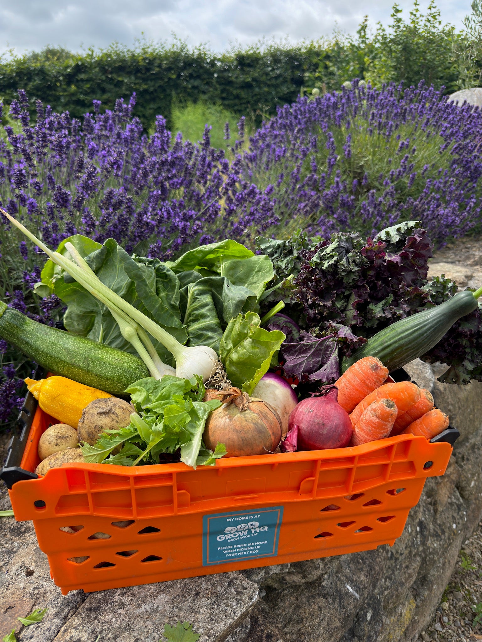 Basket of fresh vegetables with a lavender bush in the background