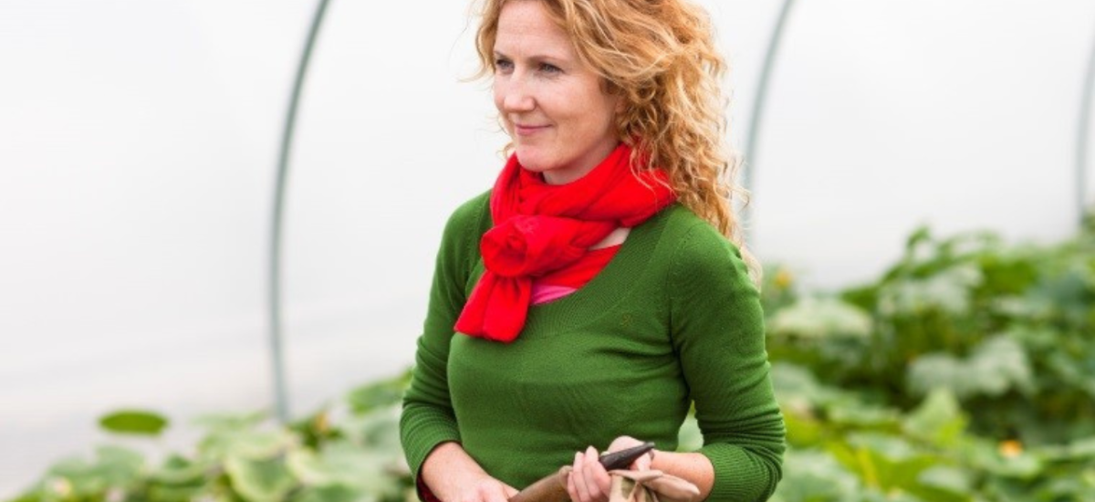 Global Shocks Local impact