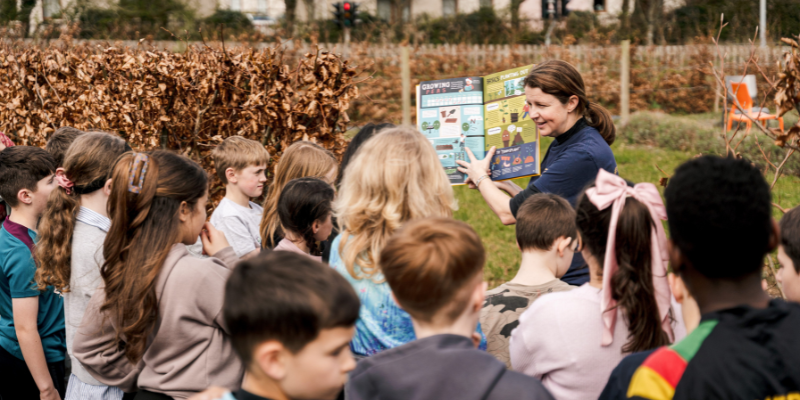 GROW at School Update - 26th November