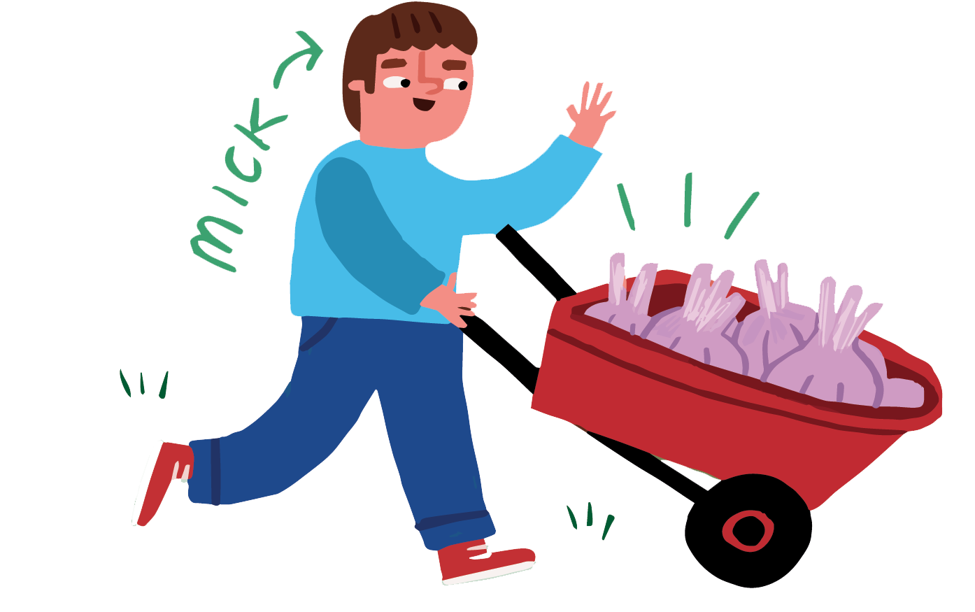 The Hows And Whys Of Autumn Onions And Garlic