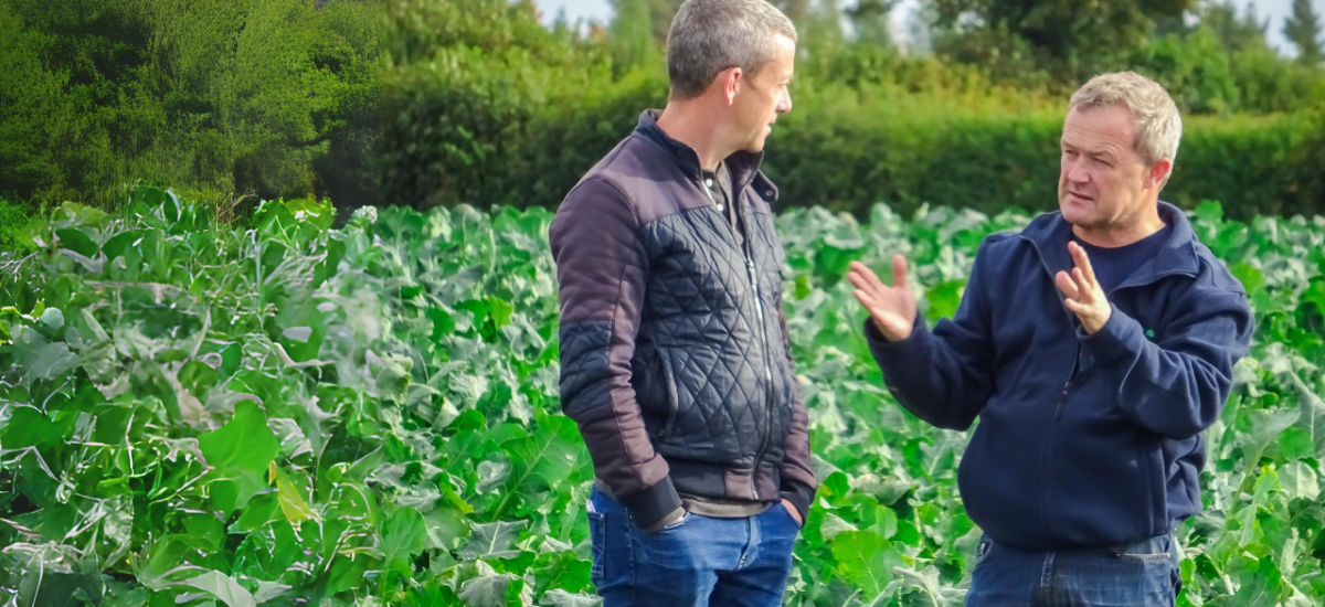 Paul Brophy, Ireland’s ‘Broccoli Barron’