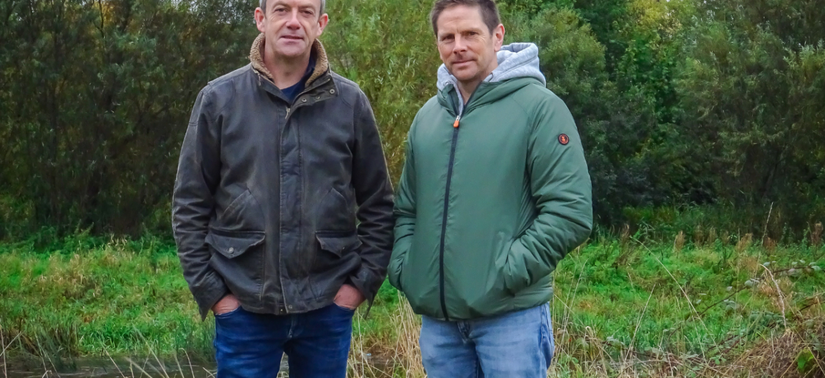 Mass Movements versus Mass Extinctions