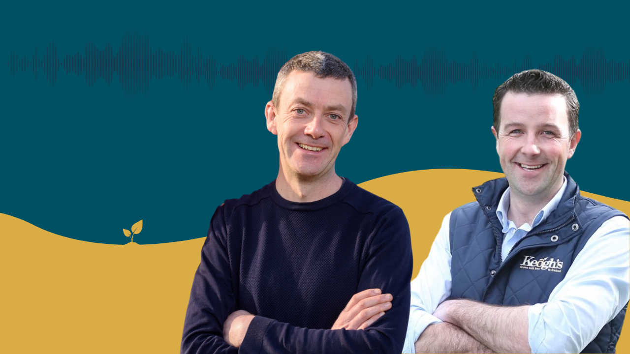 Tom Keogh talks spuds, snacks and food security