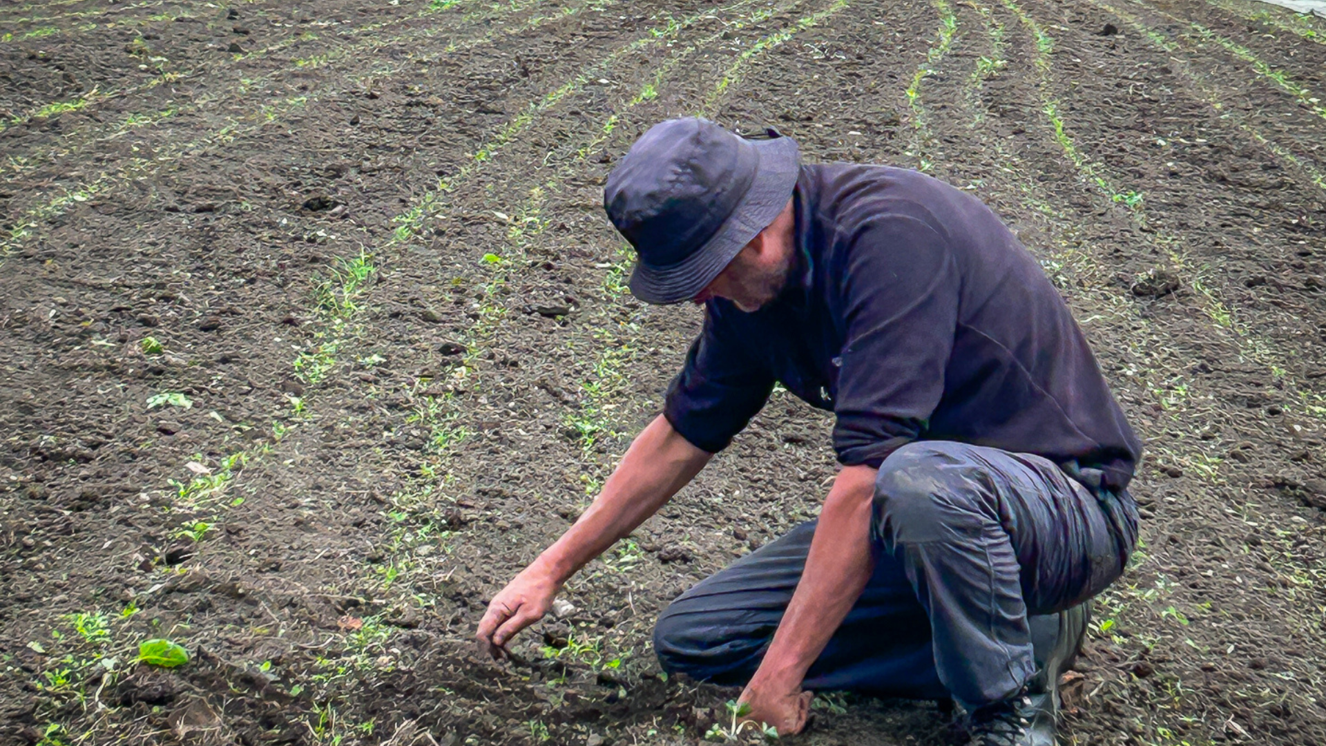 March Diary by GROW HQ's Head Grower, Richard