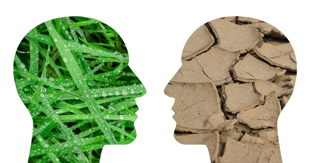 Richard's Ramblings July 27th - The most difficult year Richard has ever known as a grower