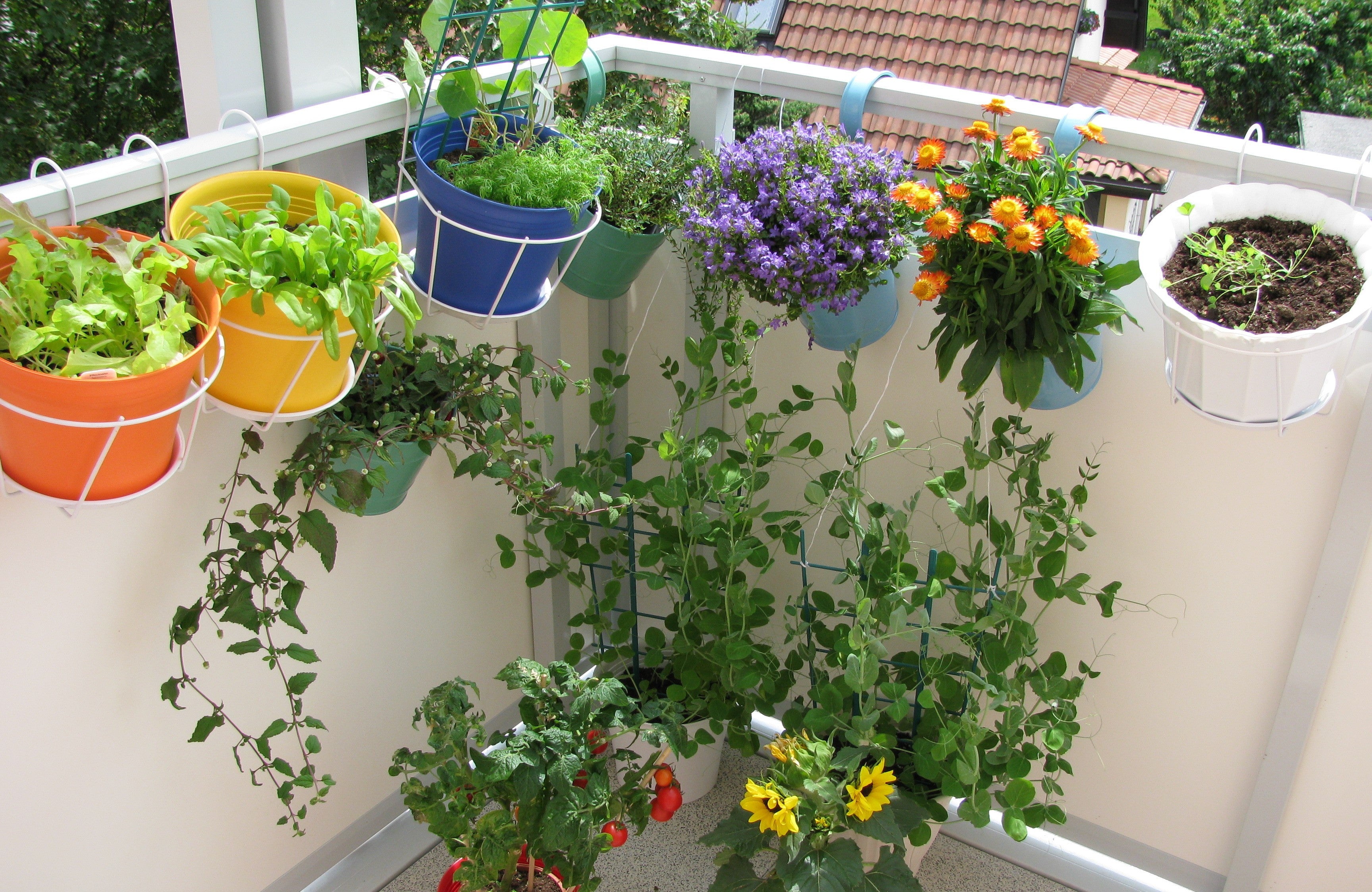 Grow Your Home Gorgeous