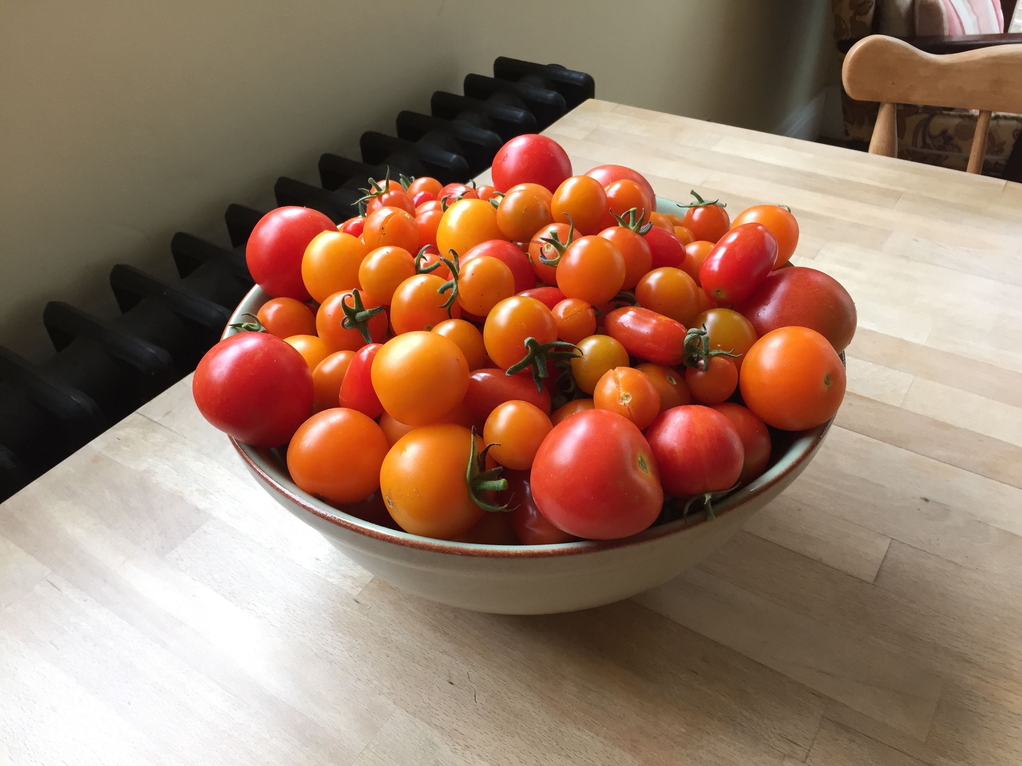 The Basics by Michael Kelly Ways to “store” tomatoes
