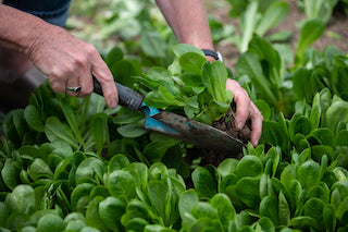 Courses & Events at GROW HQ