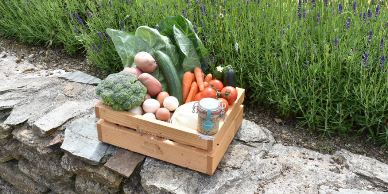 Weekly Veg Box Subscription