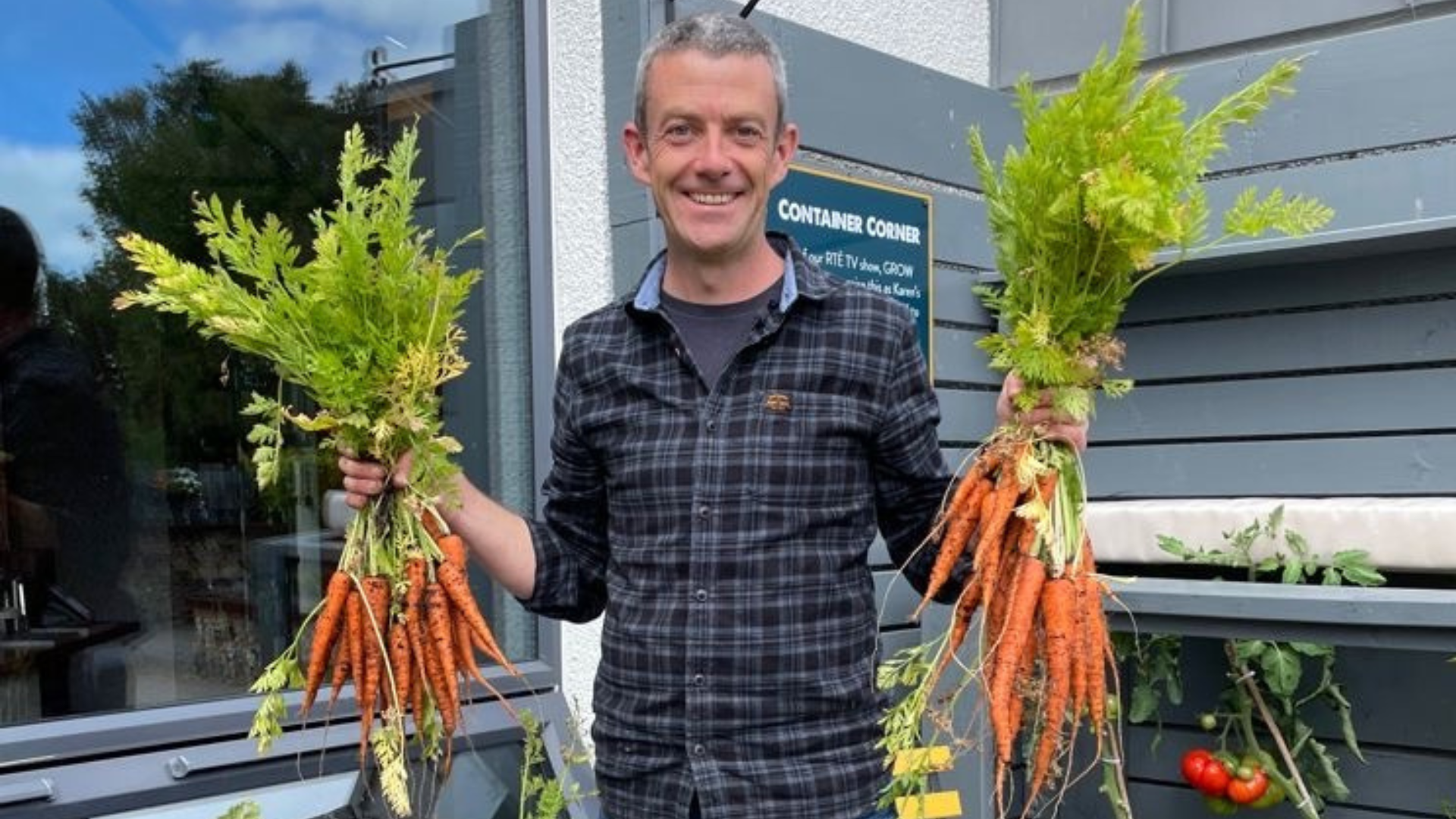 Learn to grow veg in ireland 