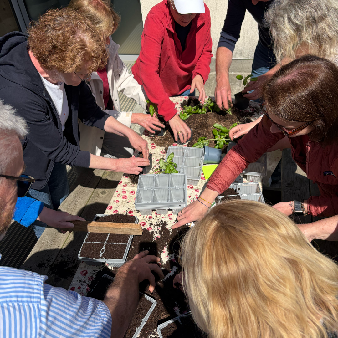 Food Choices course and retreat with Mick Kelly at GROW HQ in Waterford