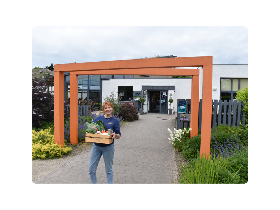 GIY Organic Veg Box – GROW HQ
