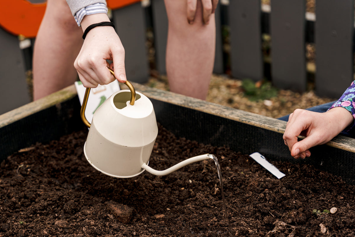 GIY - Grow Cook Eat – GROW HQ