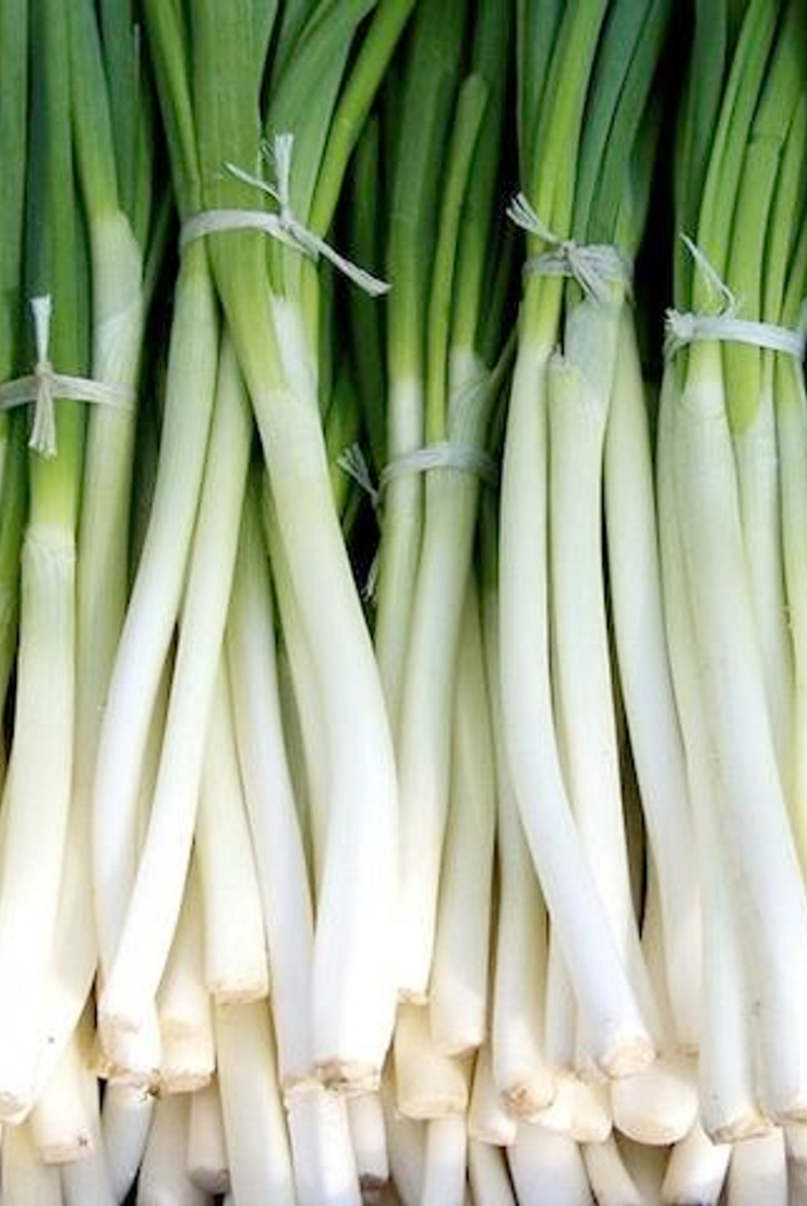Spring Scallion Scallions (Spring Onions - Ishikura Bunching (white) – GROW HQ
