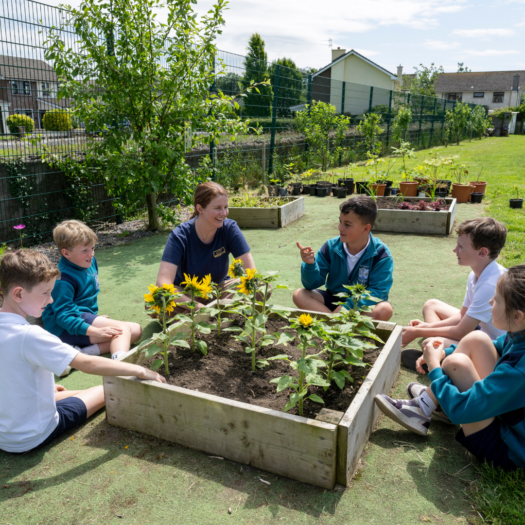 School Garden Success: Engaging Children Through Growing Food - Saturday 12th September