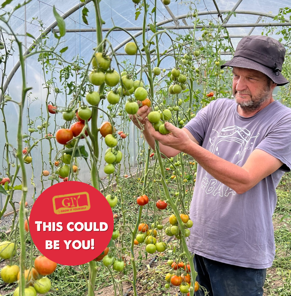 How to Grow in a Polytunnel with Richard - Sat 31st October