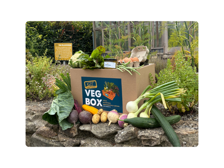 GIY Organic Veg Box – GROW HQ