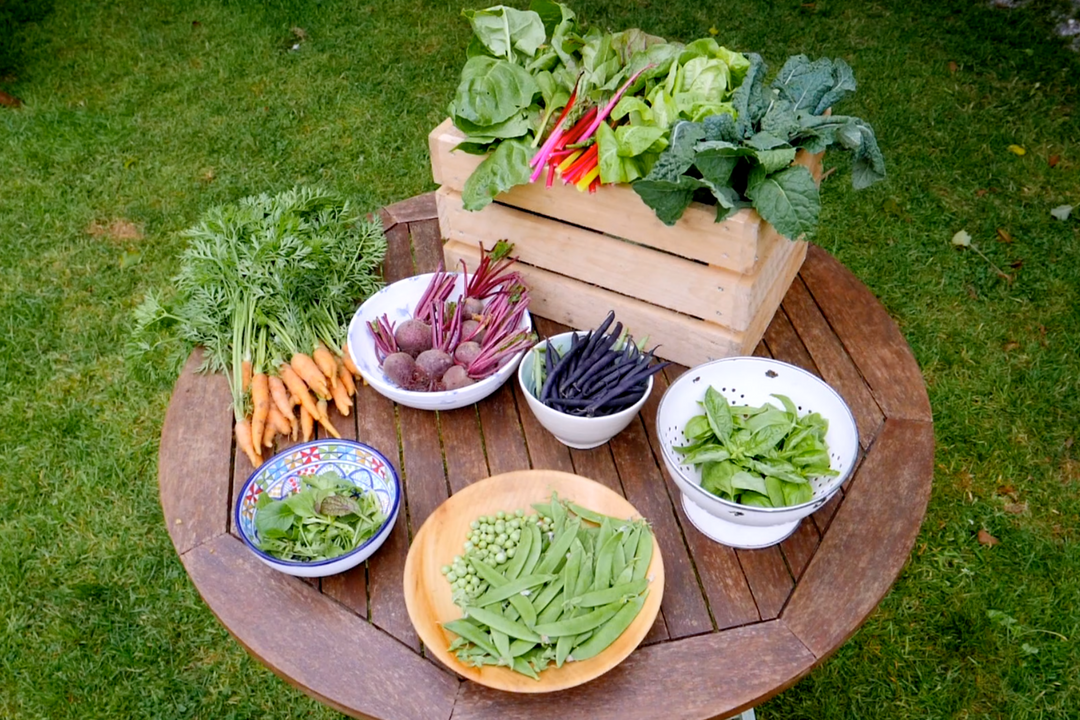How Food Grows Course - Online